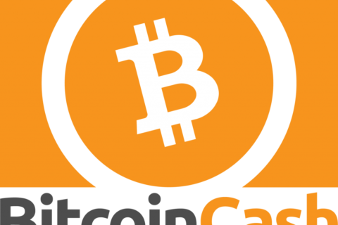 bitcoin-cash-logo-1024x812